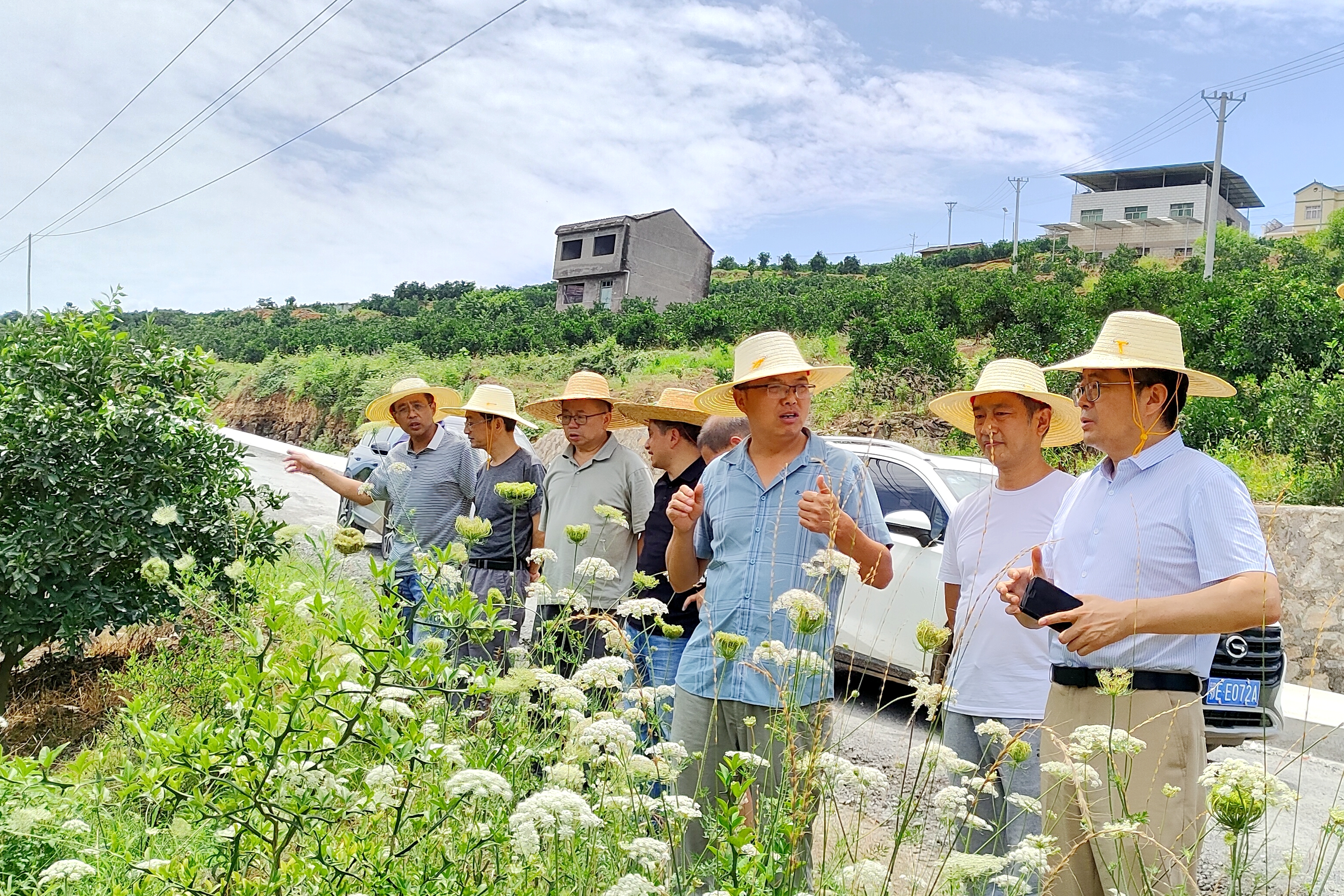 茅麓镇交通建设蓬勃发展，最新交通新闻综述